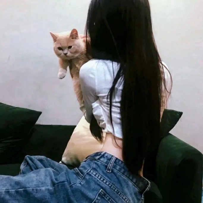 宁静的清晨 在线观看