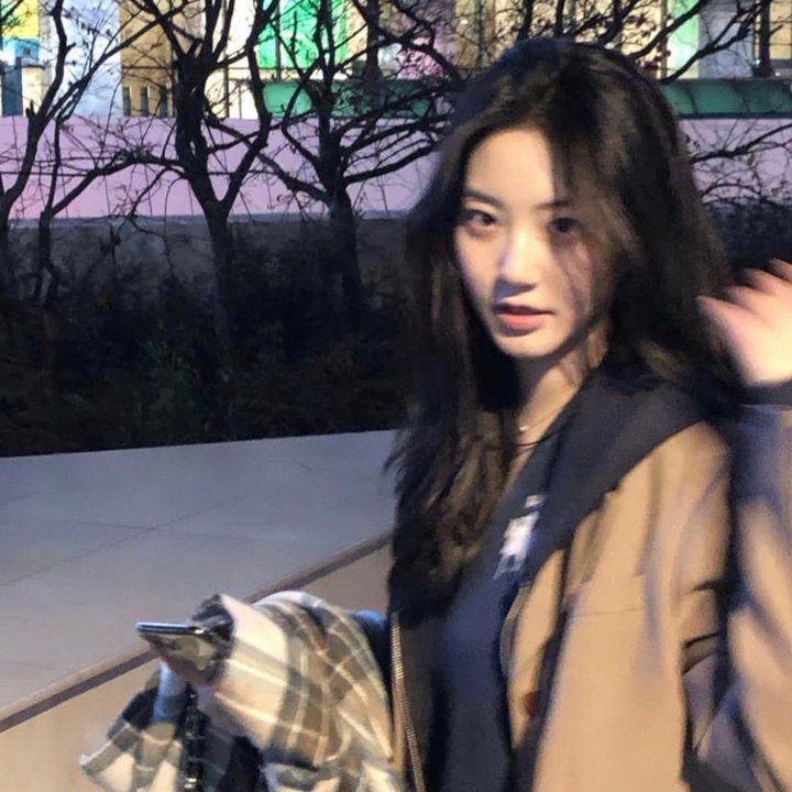 理想主义者 在线观看